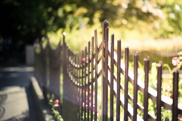 Clôture d été sur une journée ensoleillée