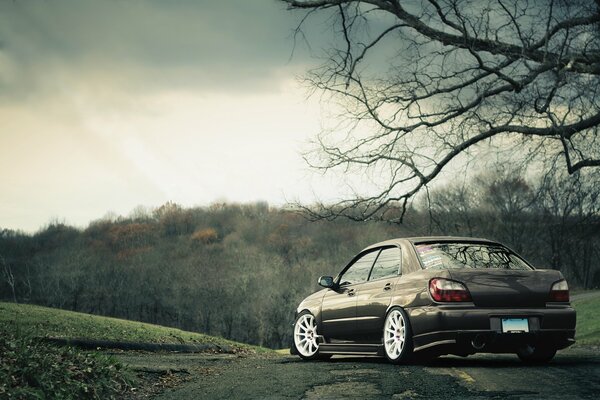 Voiture subaru sur fond de nature automnale