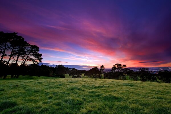 Sonnenuntergang und Gras. Horizont. Landschaft