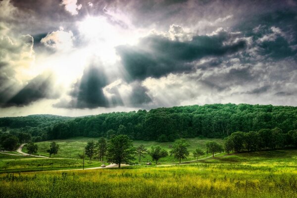 Paysage d été, forêts vertes lointaines