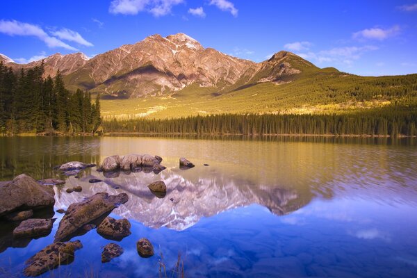 Eine ungewöhnliche Reflexion der Natur im See