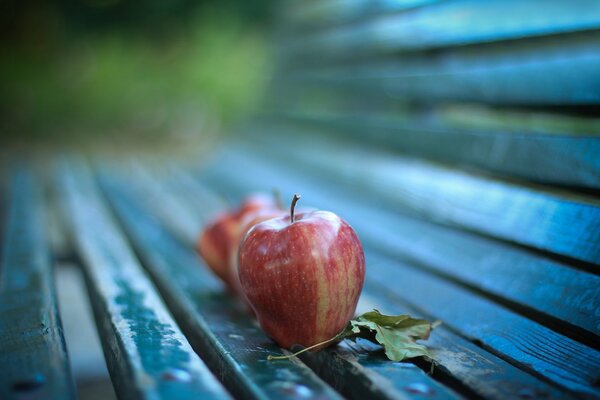 Two apples and a leaf on an empty bench in the middle of autumn