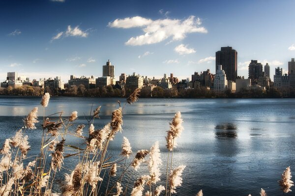 Magnífica vista del lago en central Park de nueva York