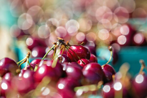 Cherry berries on a blurry background