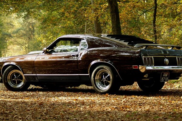 Elegante coche de la marca Mustang en el fondo del bosque de otoño