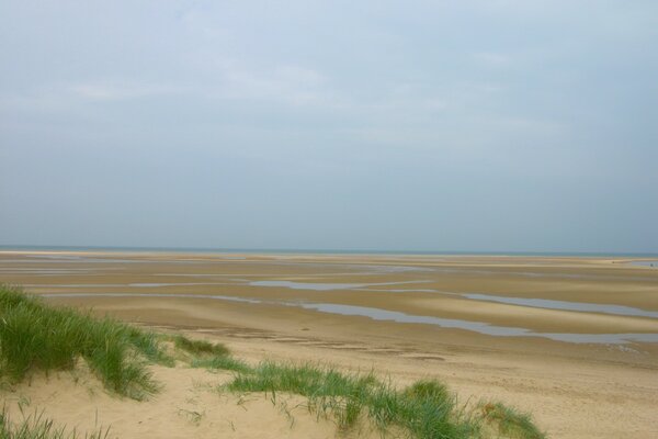 Plage de sable avec de l herbe à marée basse