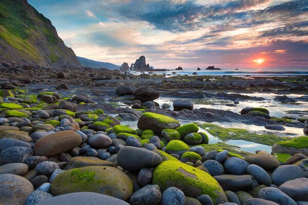 Piedras cubiertas de musgo en la orilla del mar al atardecer