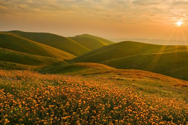 Paesaggio California Sierra Nevada