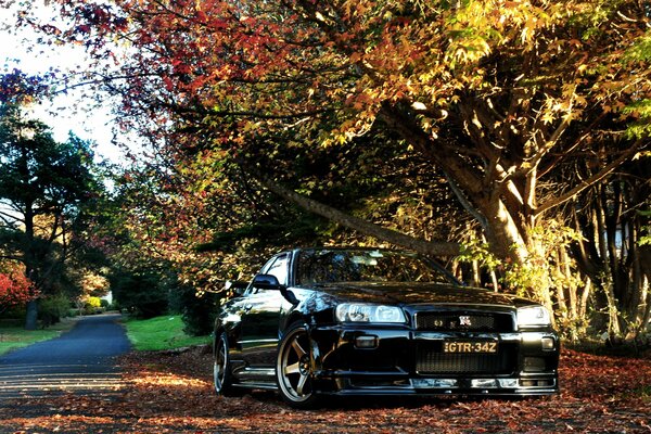 Herbstlandschaft mit Auto, Sonnenstrahlen