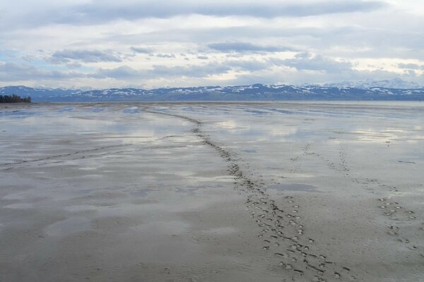 Traces sur le sable sur fond de montagnes lointaines