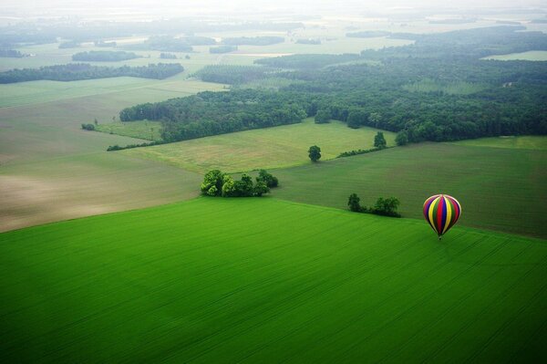 A multicolored ball landed on a meadow