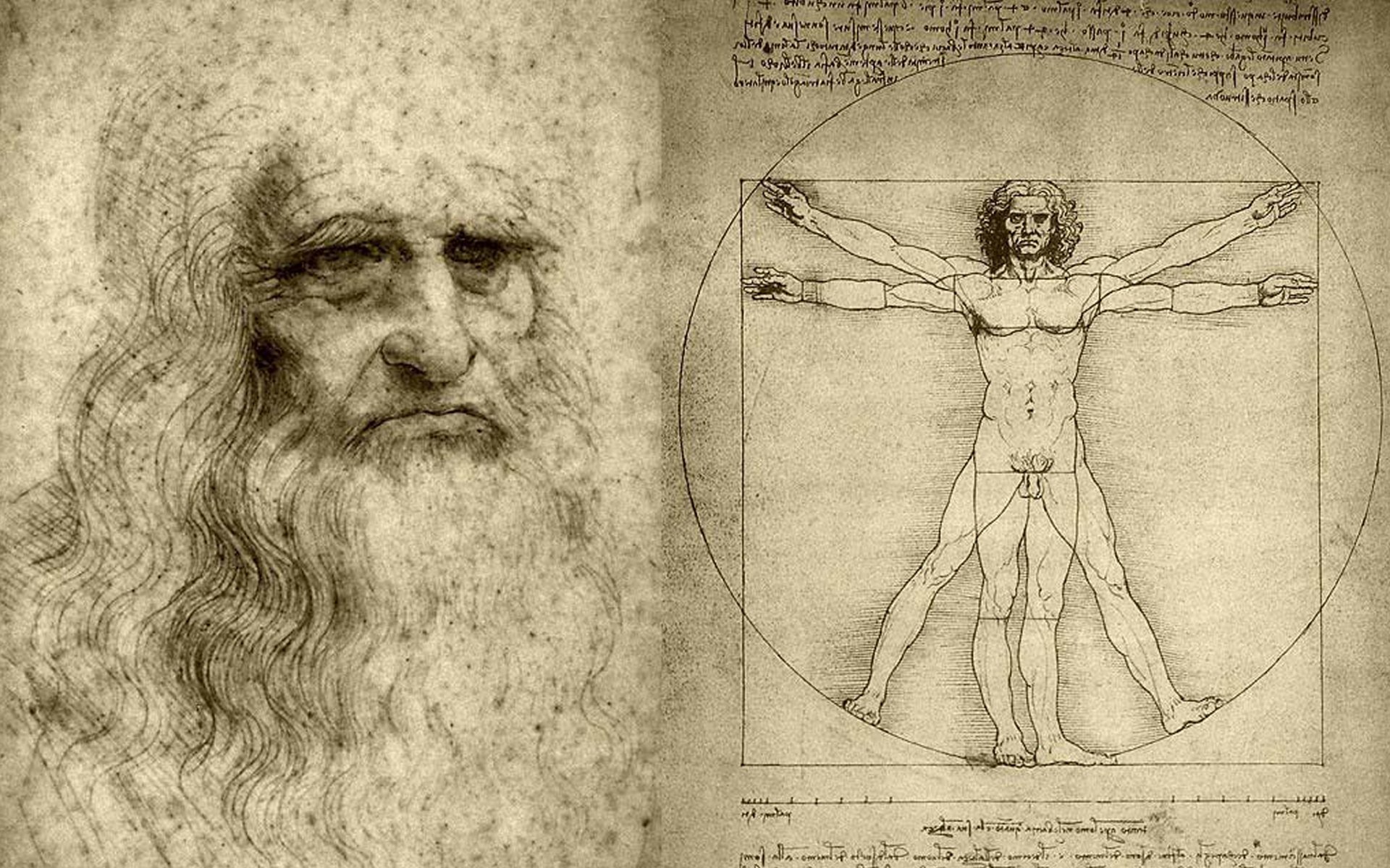 léonard de vinci l homme de vitruve dessin