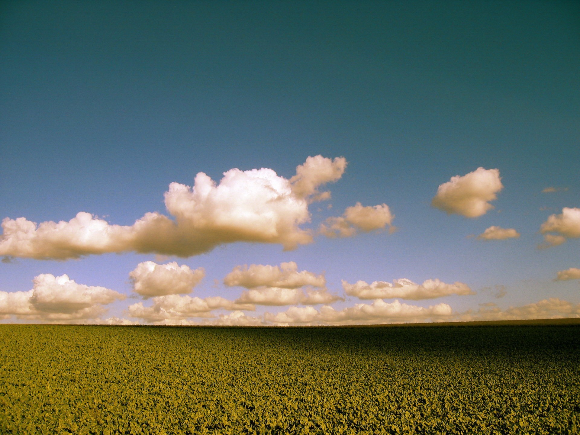 nuages champ couleur