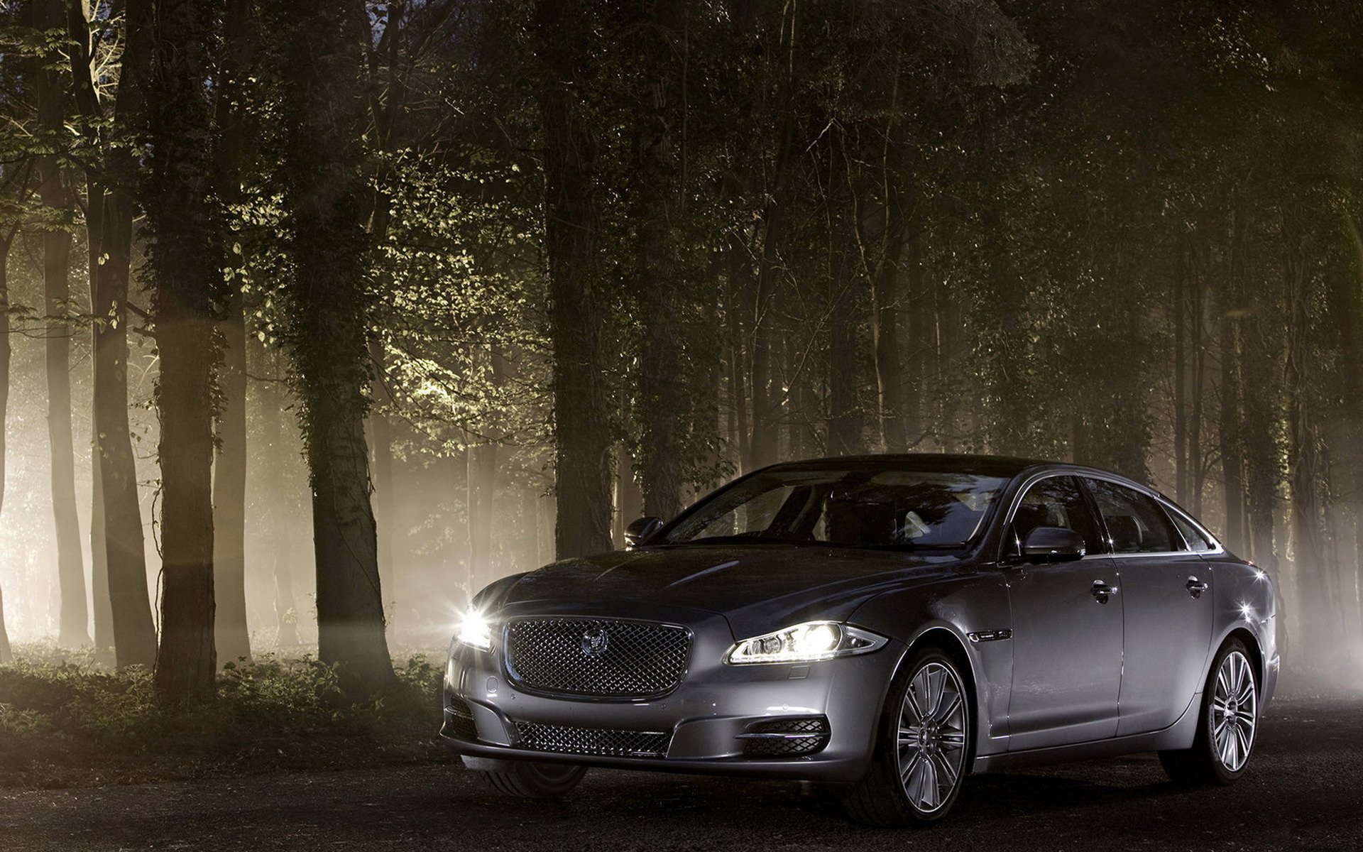 auto jaguar xj forest