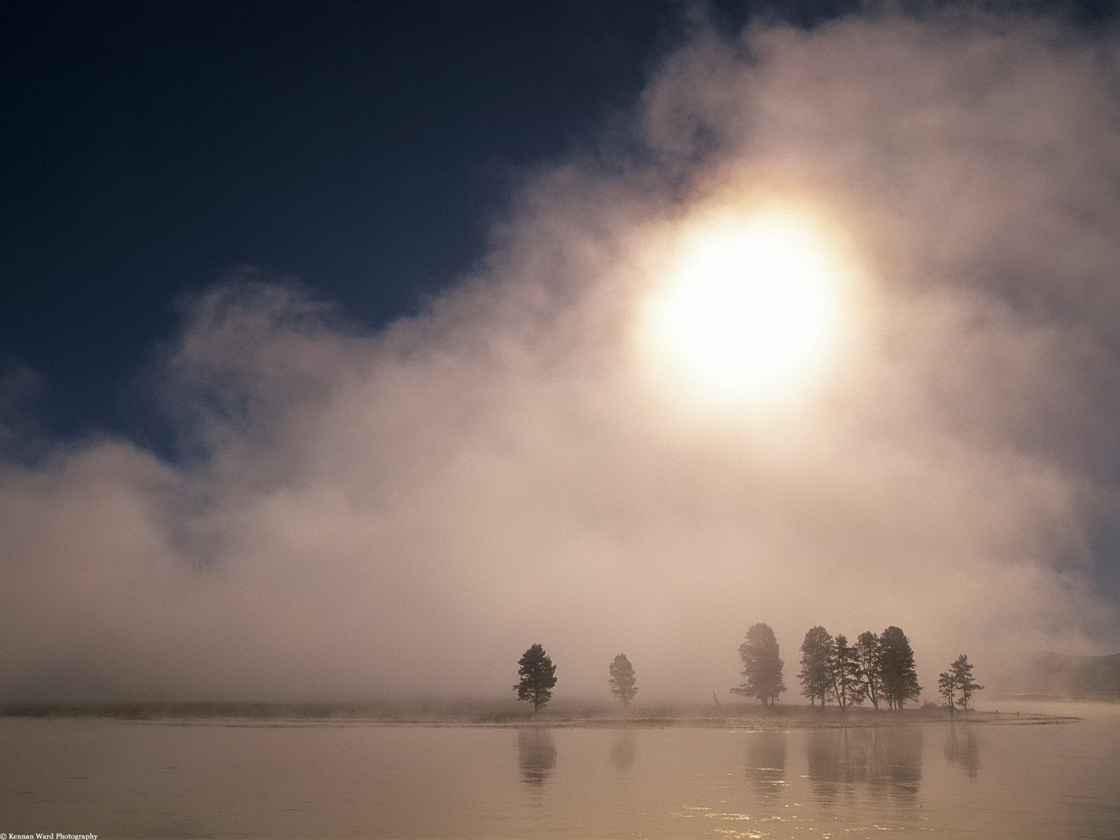 sol árboles niebla