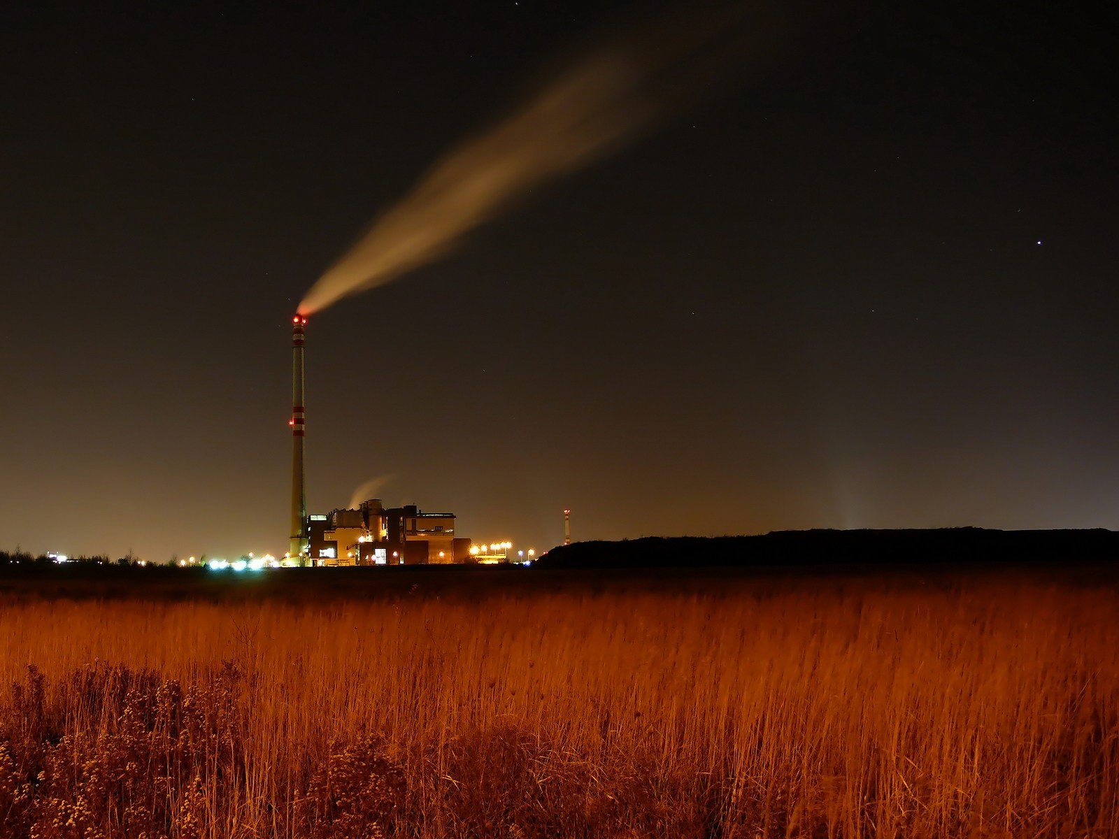 campo cielo pianta notte