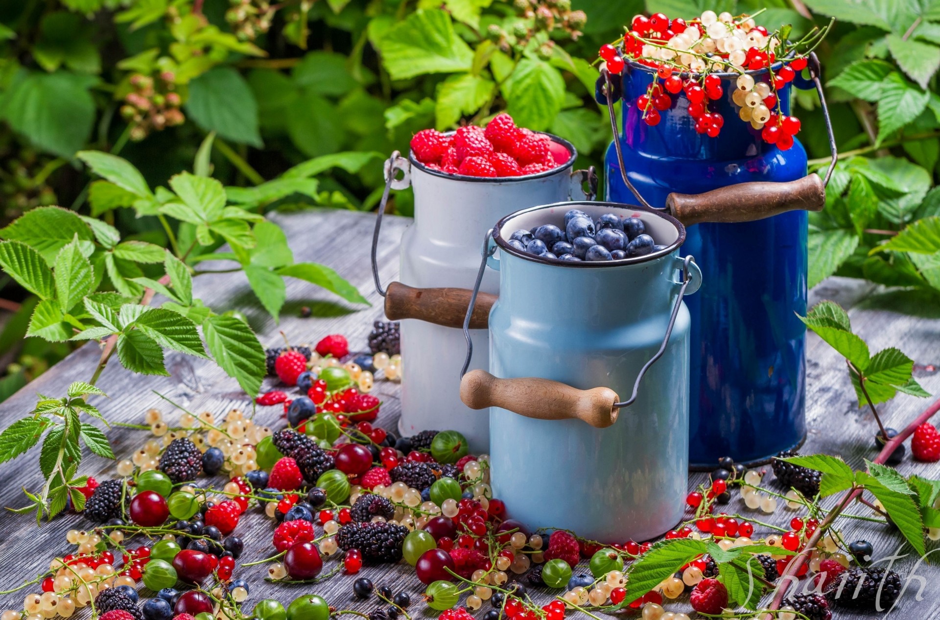 mûres framboises groseilles fruits baies nourriture pots vitamines groseilles à maquereau bleuets