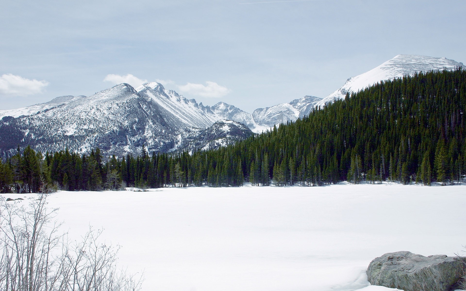 mountain snow forest