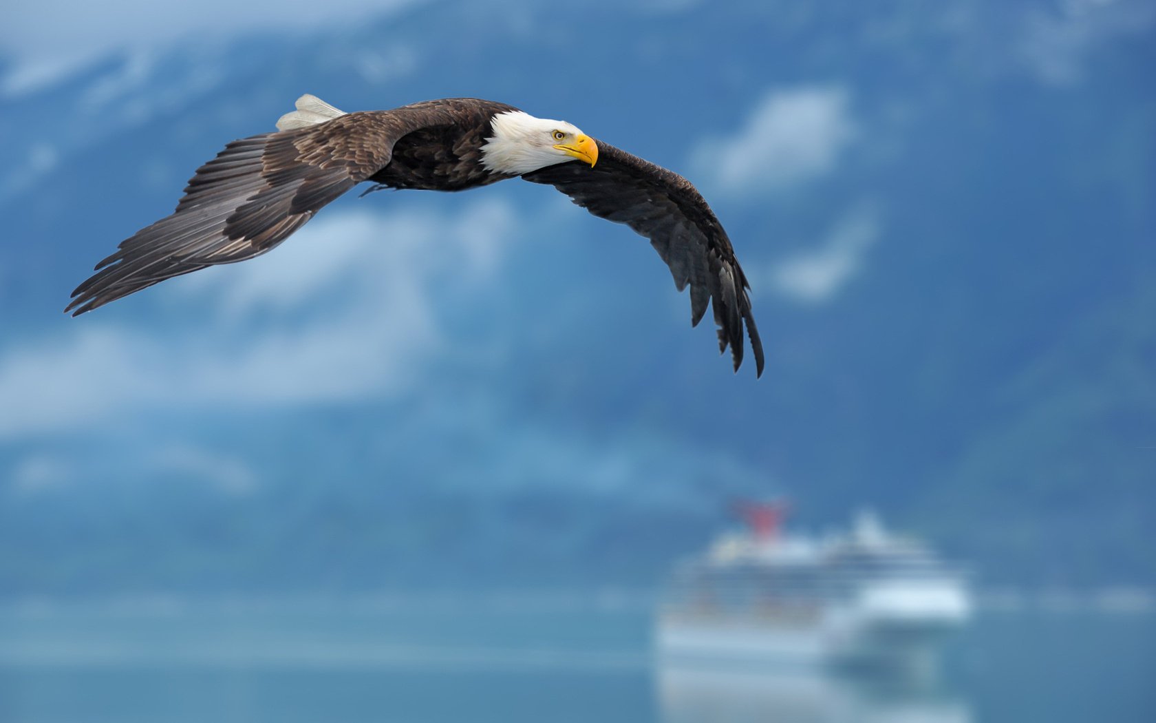 schiff flügel hintergrund adler himmel schiff adler hintergrund flügel