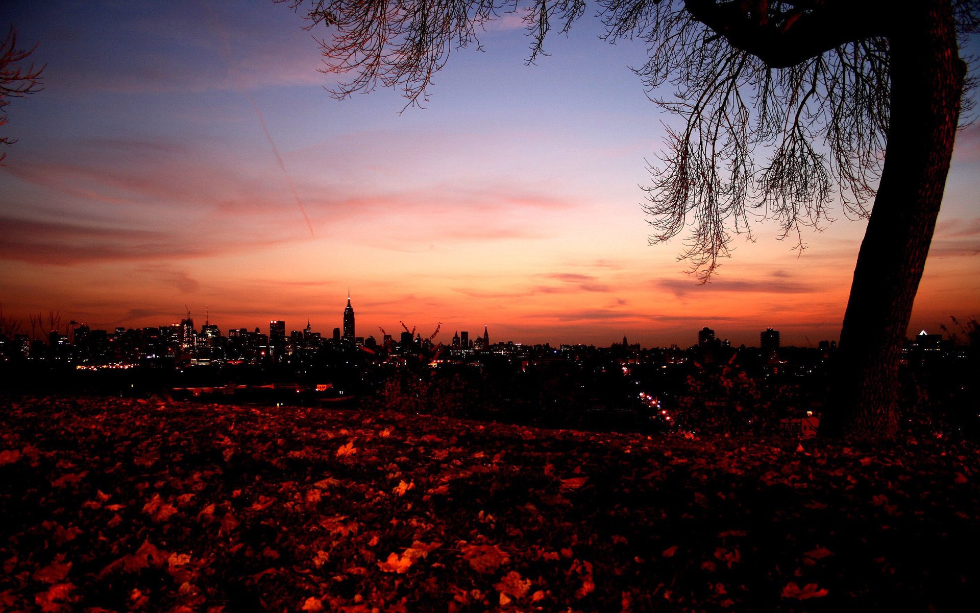 città tramonto sera foglie luci edifici cielo