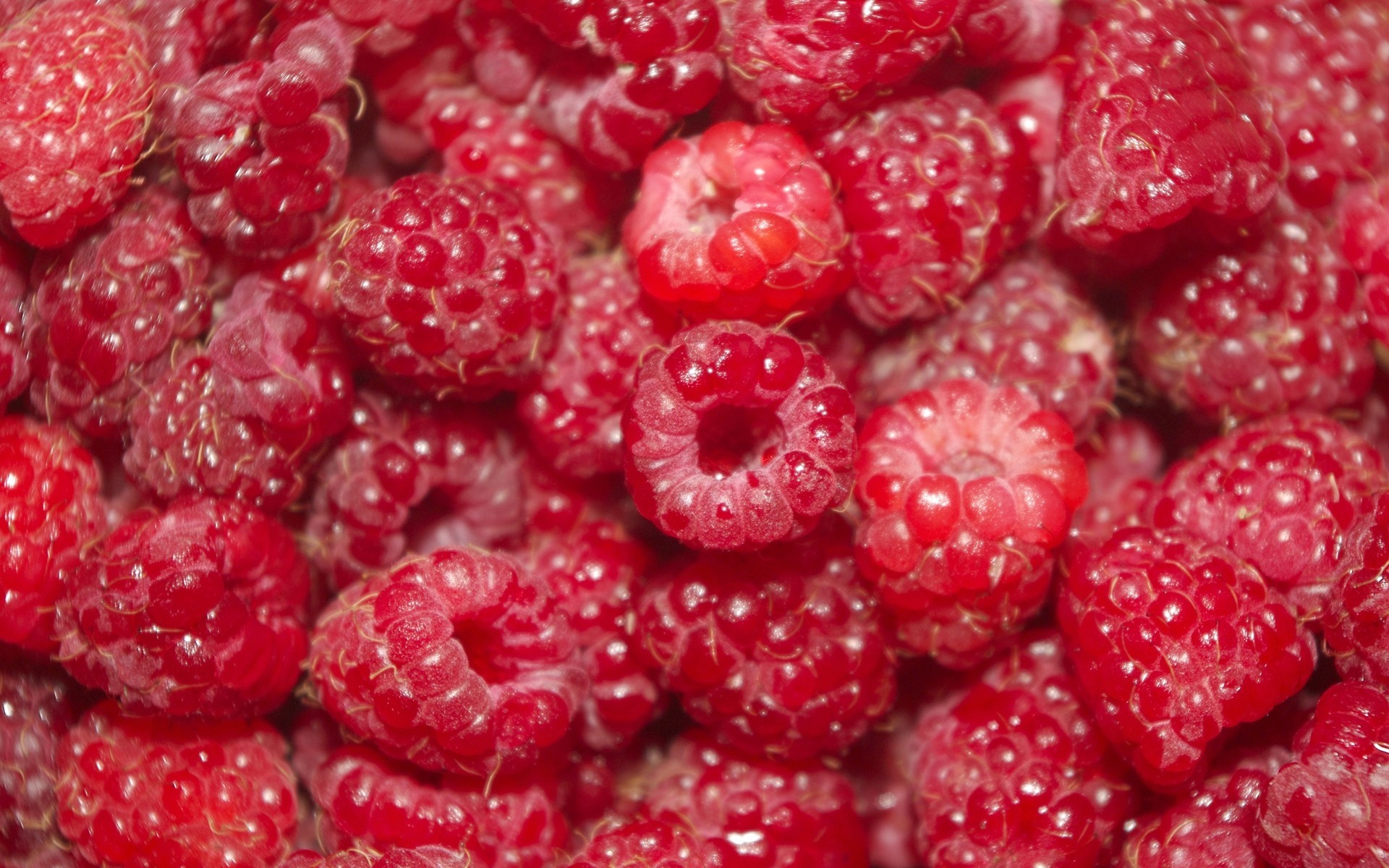 viel einkaufen beeren himbeeren