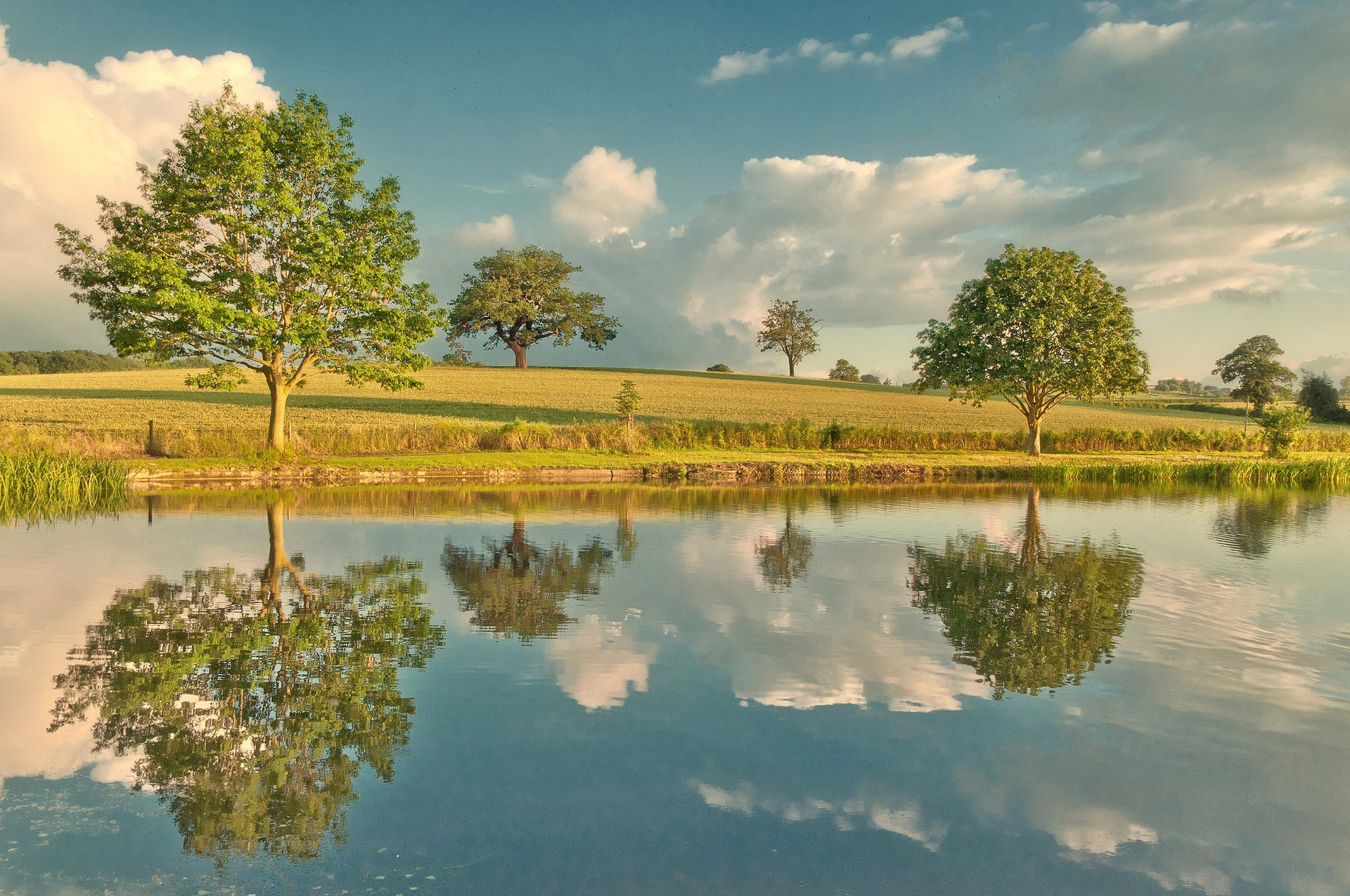 rzeka drzewa odbicie niebo natura