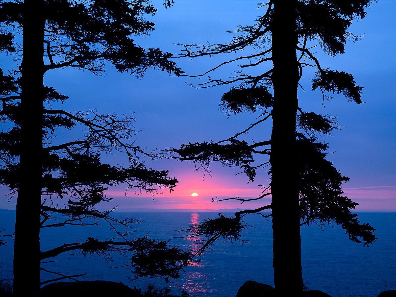 lac coucher de soleil arbres branches