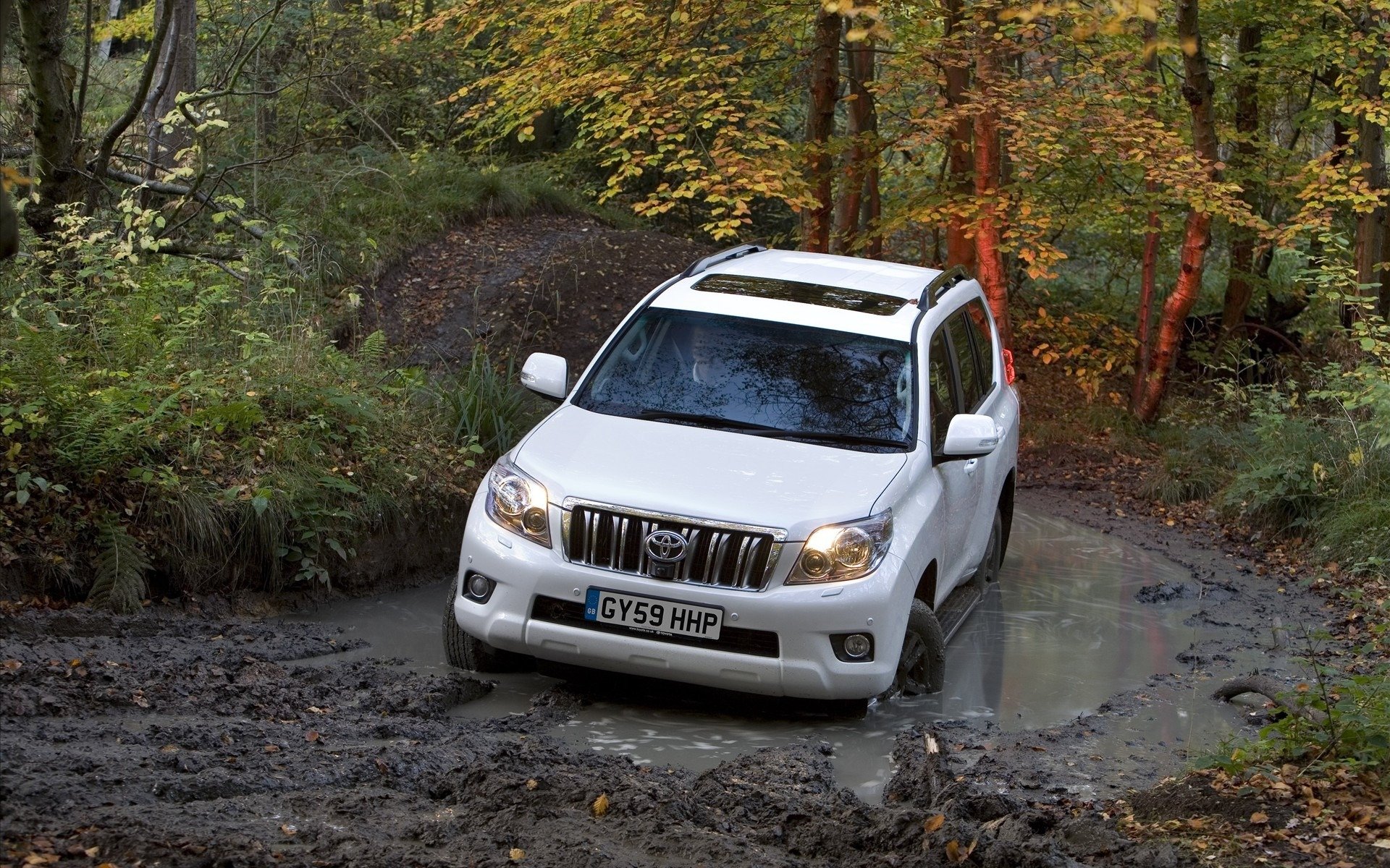 toyota land cruiser toyota toyota nature forêt arbres boue