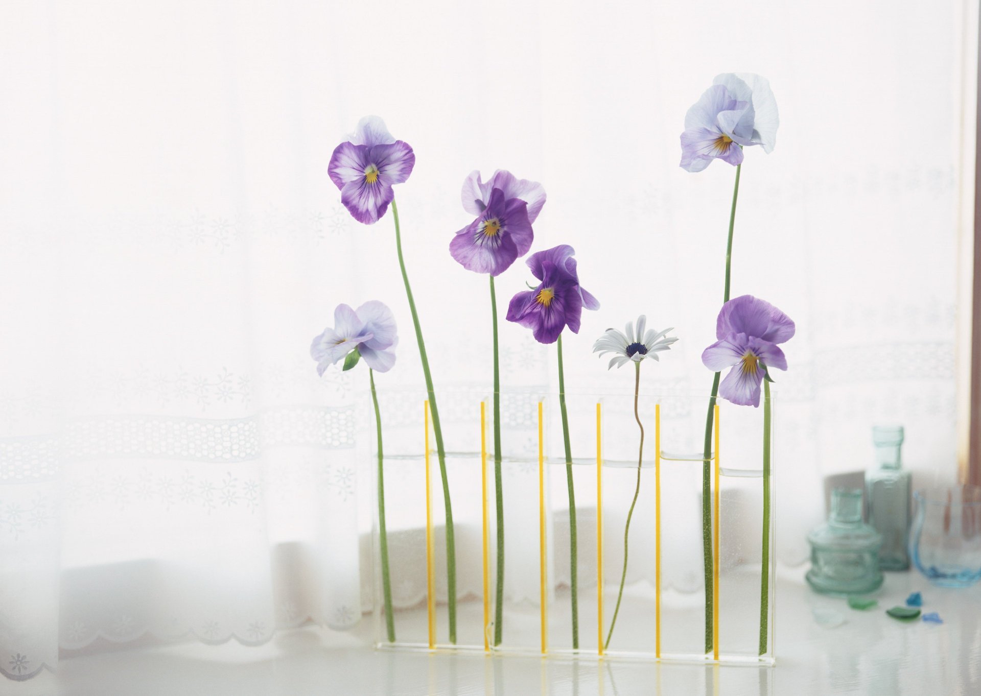 arrangement floral fleurs fleurs dans un vase