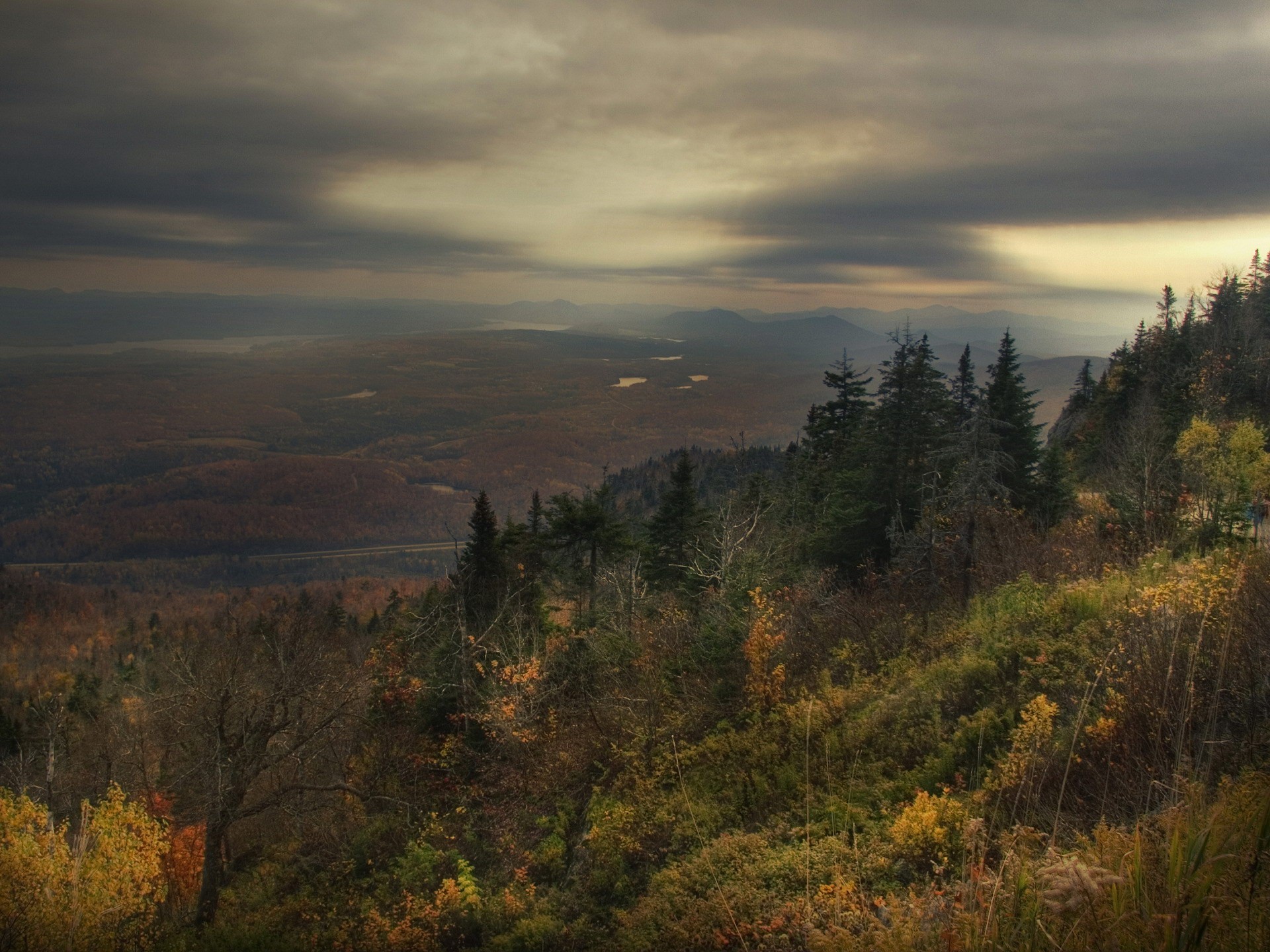 autunno foresta tristezza