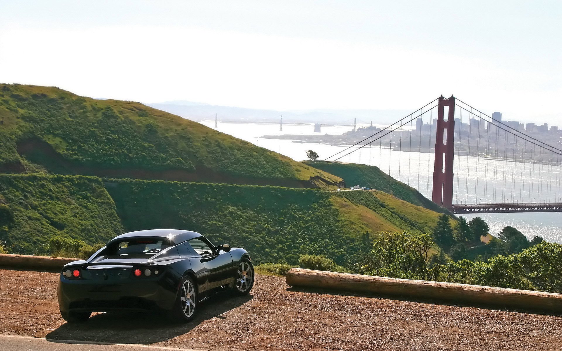 tesla puente naturaleza