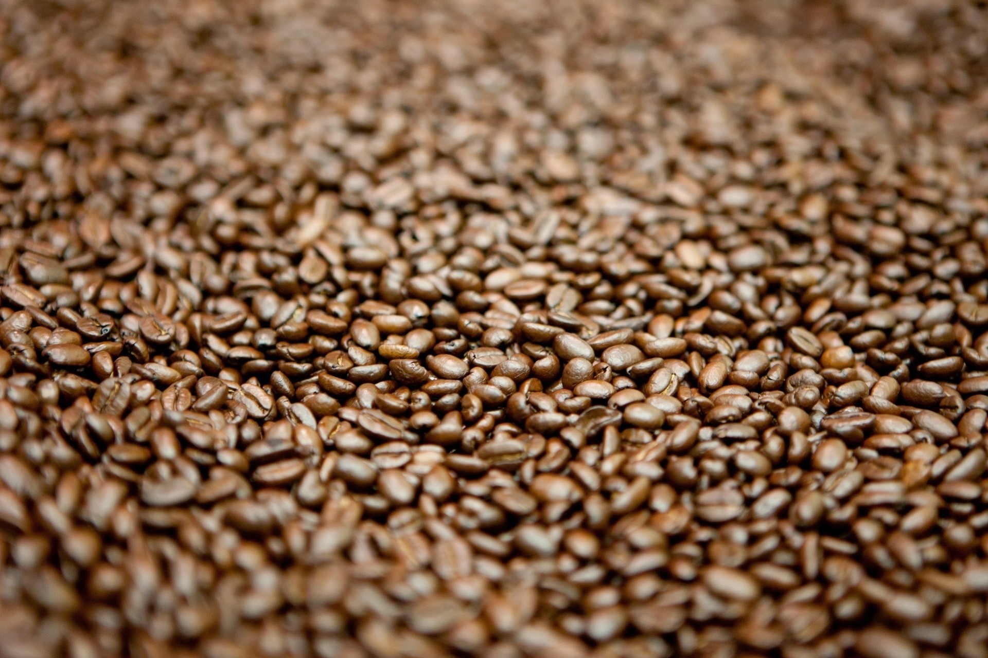 café grain grain