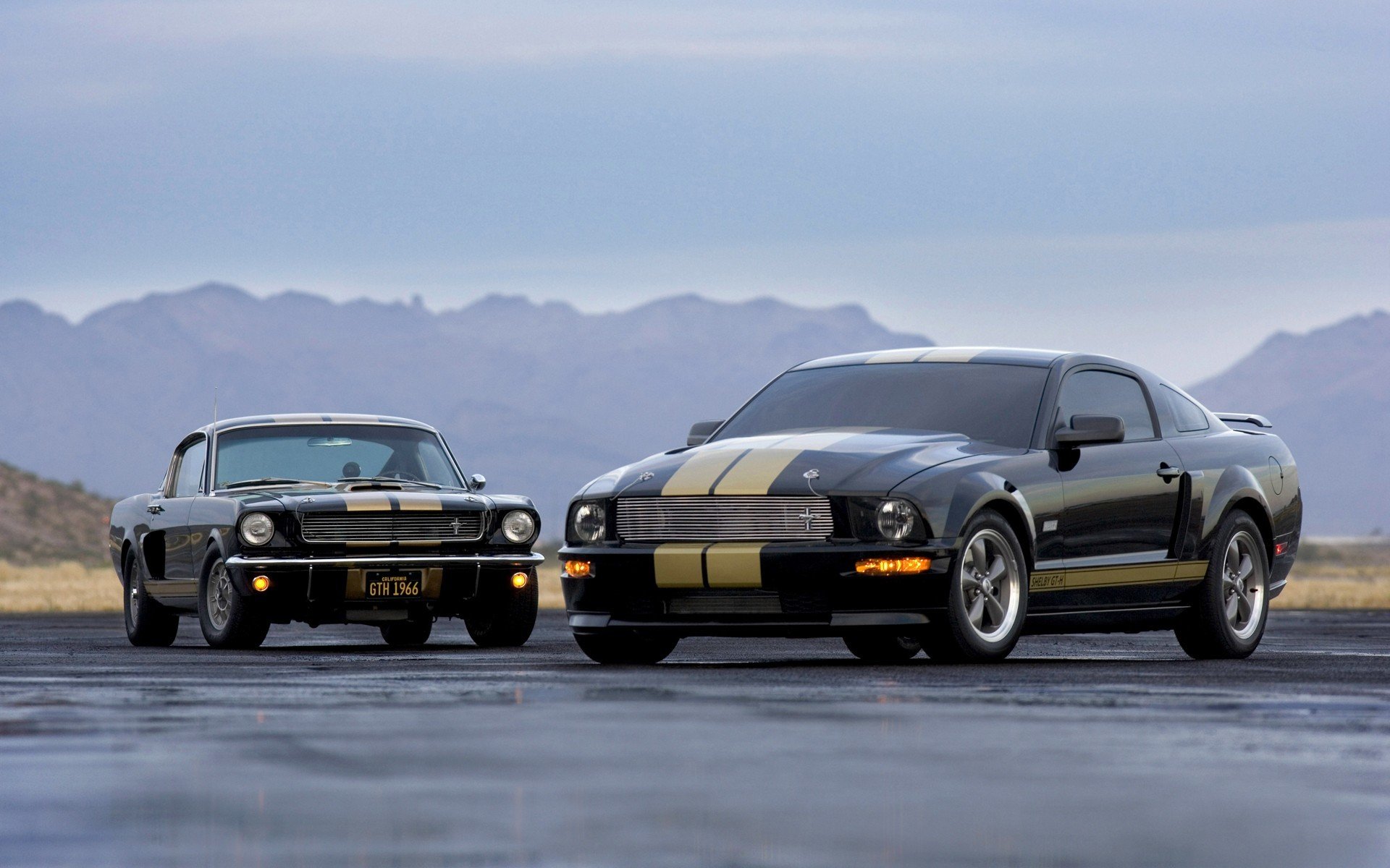 ford shelby gt-h coches gran angular coches carretera