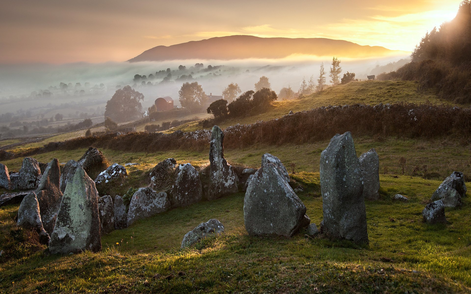 england trees nature autumn fog stones hill