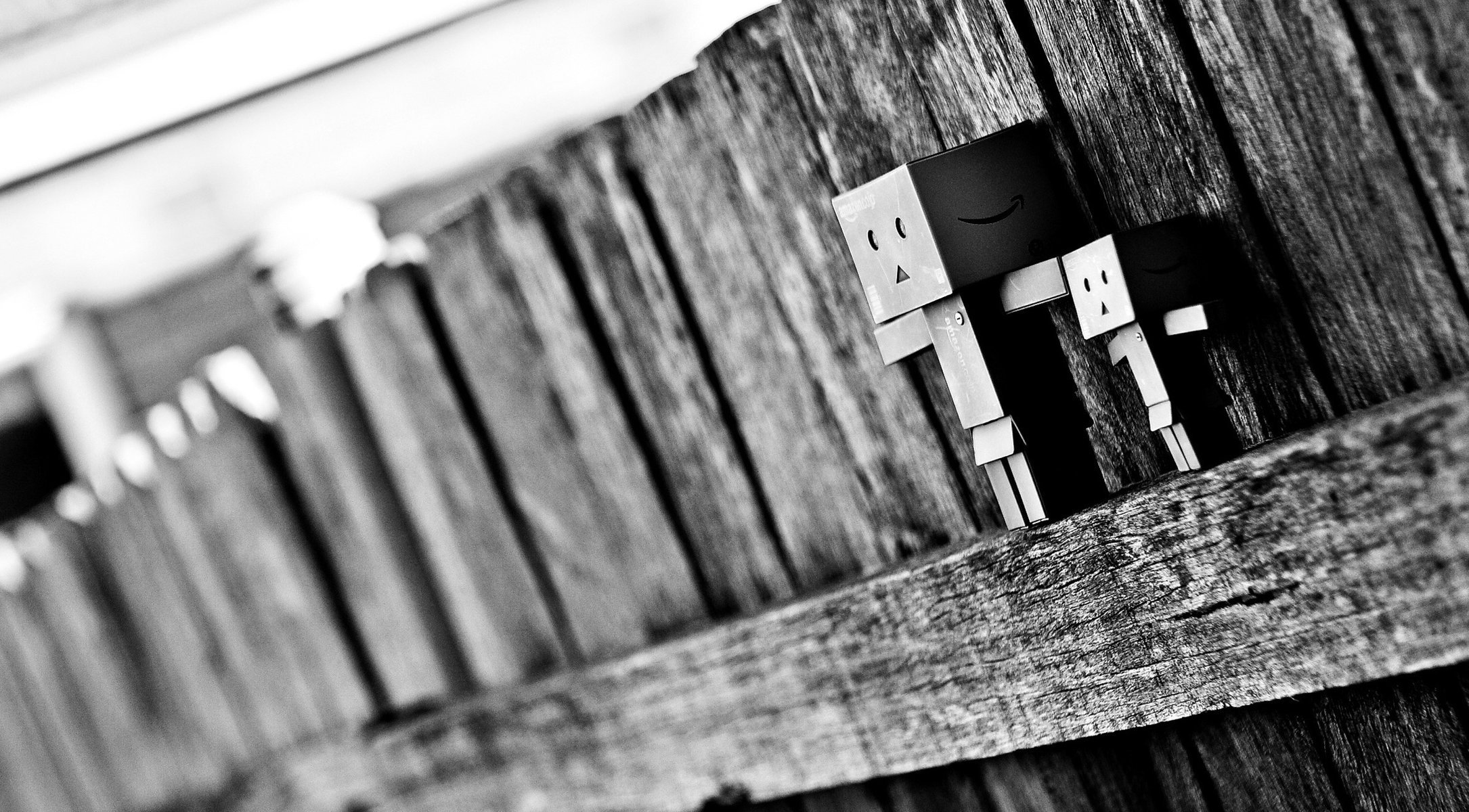 danbo box black and white macro the fence blur