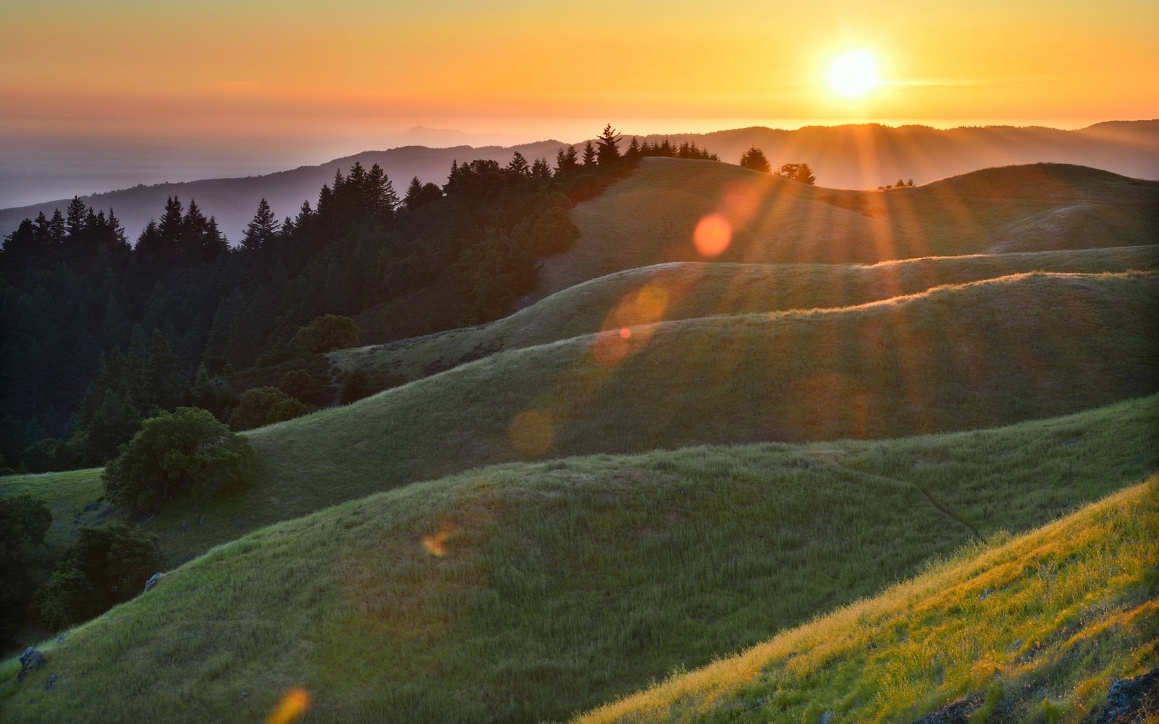 wald blendung hügel sonne morgen strahlen