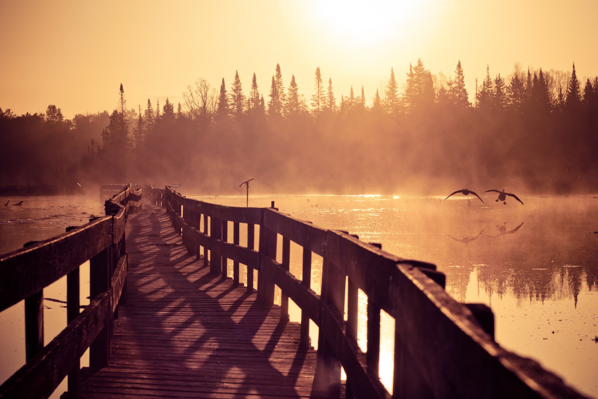 marche matin nature rivière