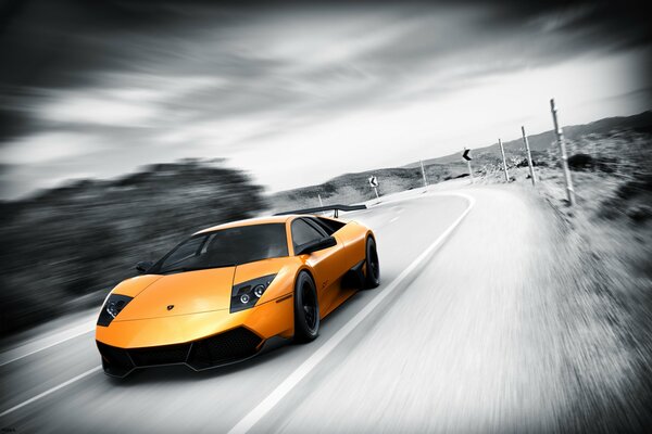 Pelirroja coche como un zorro, correr por la carretera a una velocidad vertiginosa