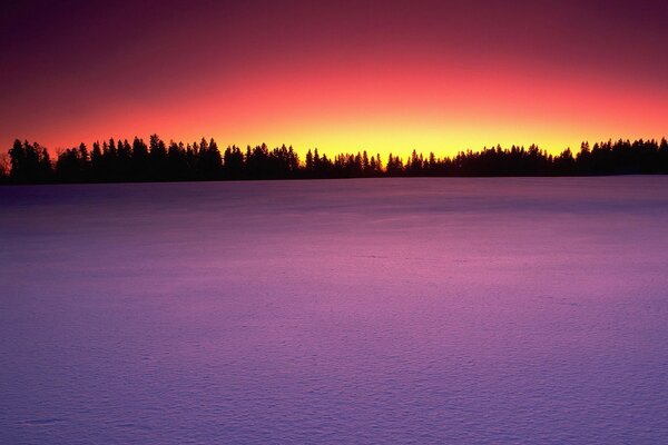 Lilac sunset in winter in the field