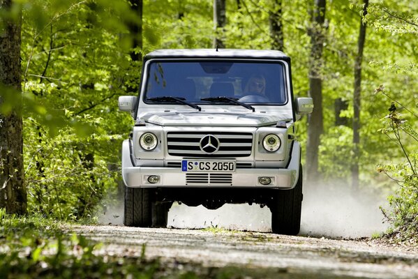 Mercedes-Benz Helik ist ideal zum Reiten im Wald