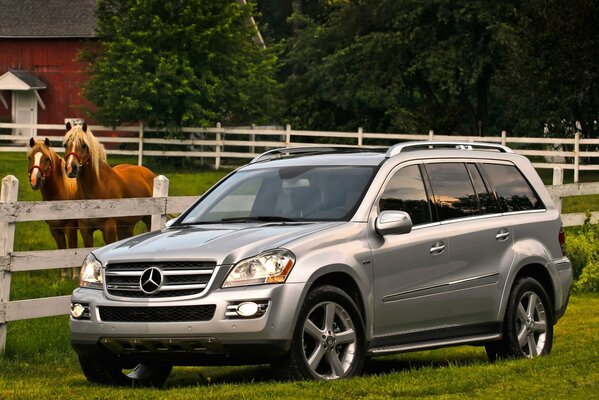 Mercedes-SUV in silberner Farbe in der Nähe von einem Paddel mit Pferden auf dem grünen Rasen