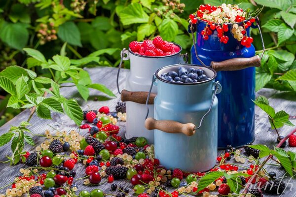 Der Geschmack des Sommers:Dosen mit duftenden Beeren