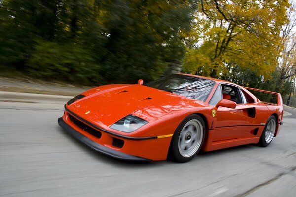 Voiture Ferrari rouge sur fond d arbres