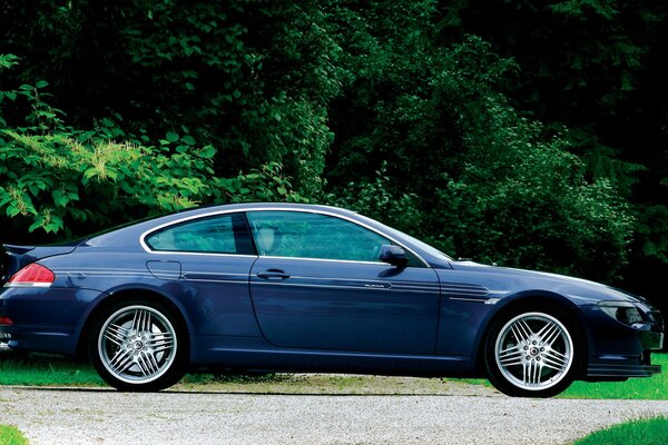 Blue BMW on a background of lush greenery