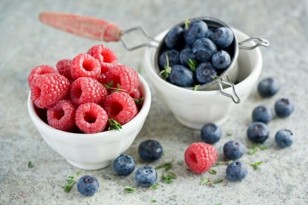 Himbeeren und Blaubeeren sind beste Freunde