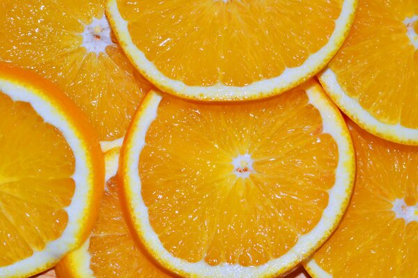 Bright juicy orange slices