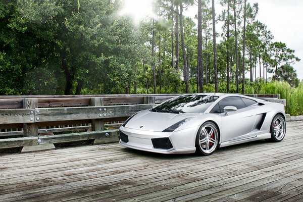 Lamborghini su un ponte nella foresta fotografata