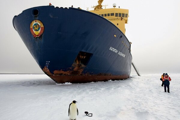 Icebreaker Captain Khlebnikov in Antarctica