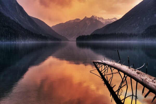 Pink sunset on the lake of fallen trees