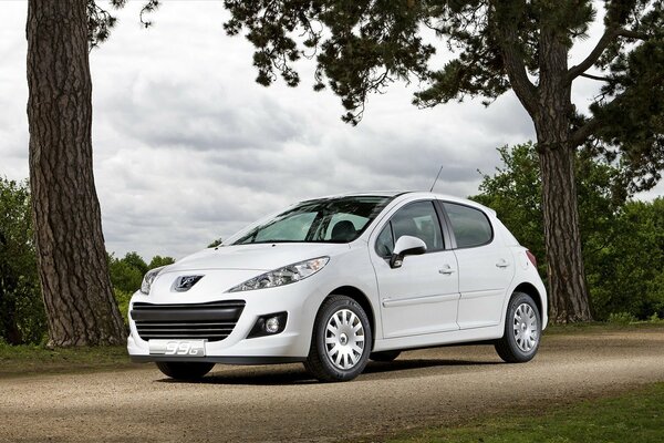 Voiture Peugeot couleur blanche sur fond de nature